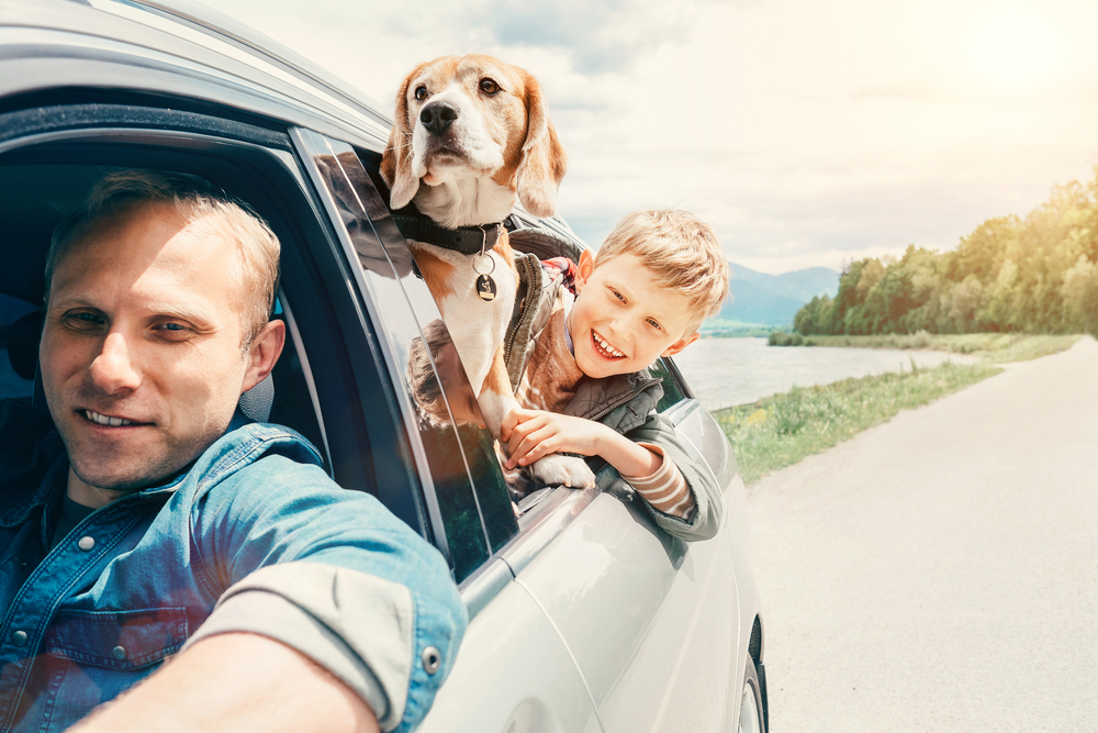 Dog in car with man and child