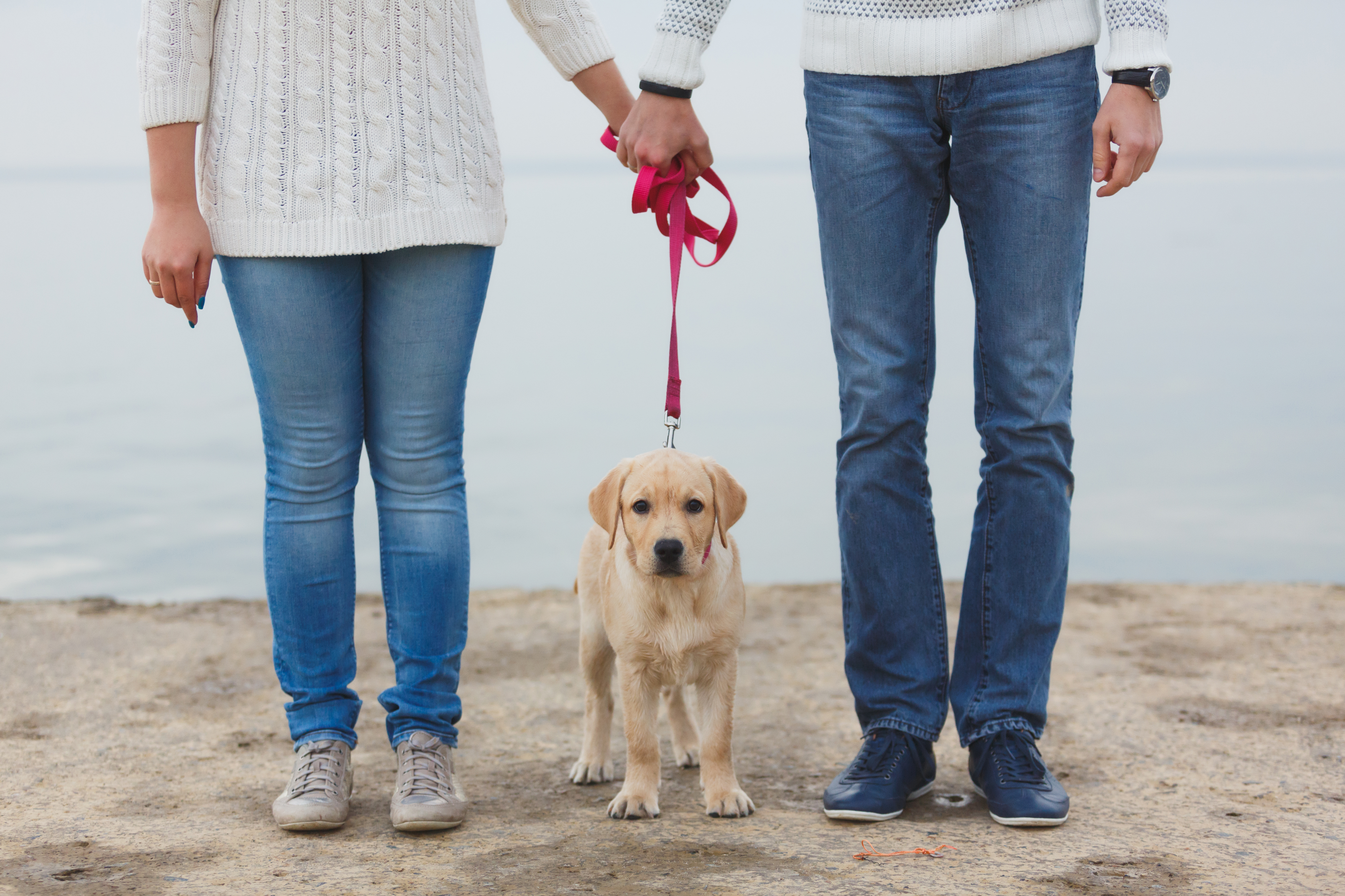 Couple standing with dog on leash
