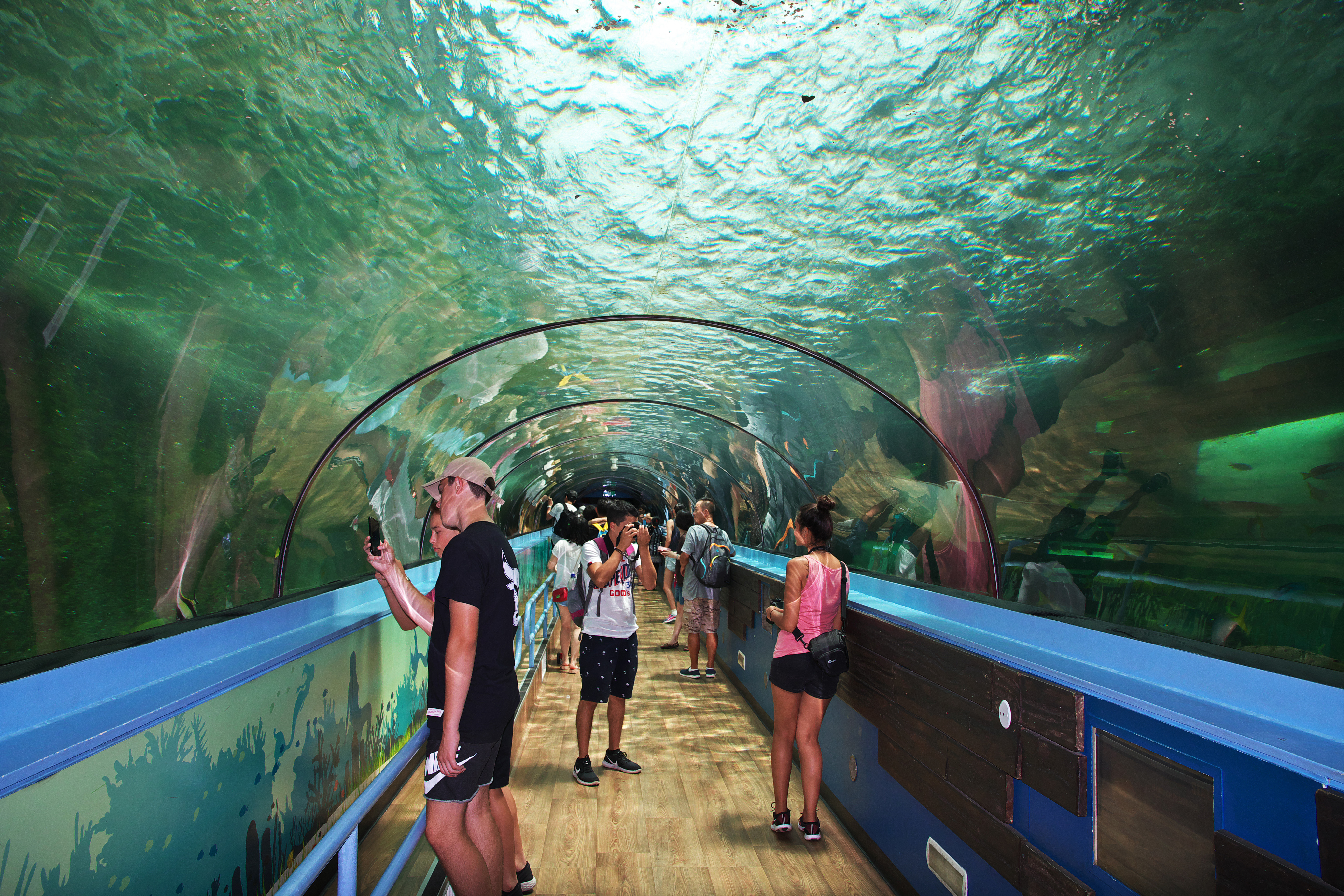 Inside Sydney Aquarium